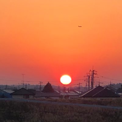 自転車サイクリング、ウォーキング、風景写真、季節の花