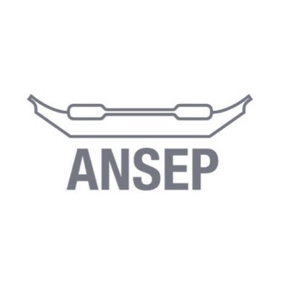 ANSEP_AK Profile Picture