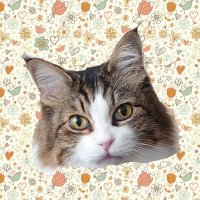 ちび太 (@erik_utb) 's Twitter Profile