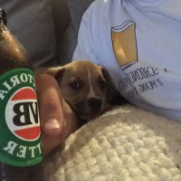 Billy Evans (@billybillyevans) 's Twitter Profile