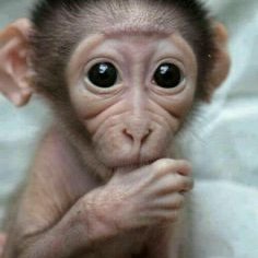 MartijnJansse20's profile picture. 