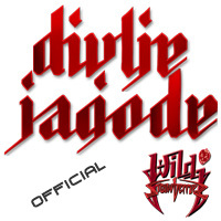 divljejagode's profile picture. Divlje Jagode (Wild Strawberries)