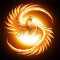 keith mullins (@keithmu62320561) 's Twitter Profile