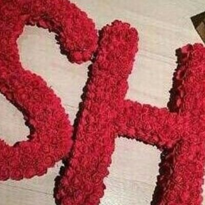 ShafayHussain3's profile picture. 