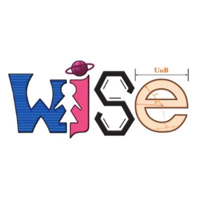 WISE Birmingham Profile