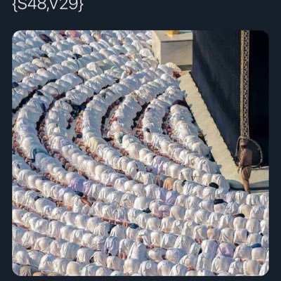 isso_fawaz's profile picture. Isso99