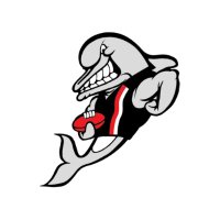 Frankston Football Club (@frankstonfc) 's Twitter Profile