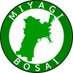 宮城県防災 (@miyagi_bosai) Twitter profile photo