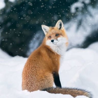 FbTdiRxCUMDK7sZ's profile picture. 札幌の底辺プロレタリアートです。 現在、株の勉強中です 初心者におすすめの本など知りたいので、詳しい方はよろしくお願いします。