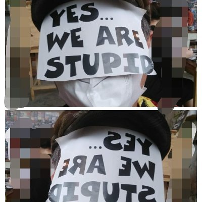 Yes,  we are stupid!
Yeah!  We're fuck!