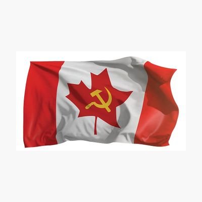 Sosowac's profile picture. Canadian. That is all.
