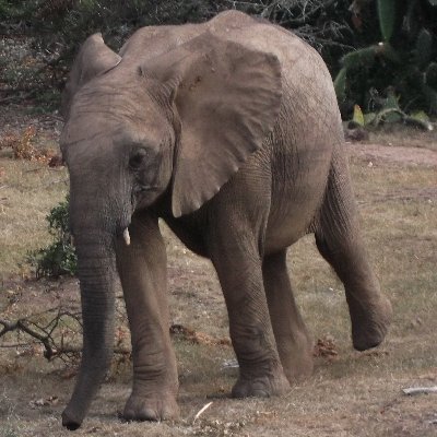 DavidRough8's profile picture. Semi-retired Oenophile and long-suffering England Cricket Fan