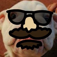 spicy daniel, the rock and roll horse (@egg_donk) 's Twitter Profile