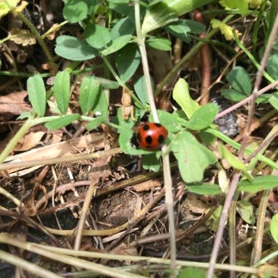 sl6FxKBNje8xNyV's profile picture. 