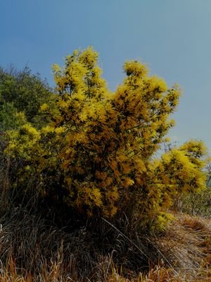 blackte21865129's profile picture. 极致，纯粹