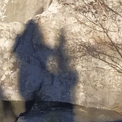 ythough___'s profile picture. used to be @whatislanguage }new language account!
personal account for everything and nothing :) 🏳️‍🌈🇵🇱