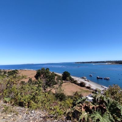 Postales del sur de Chile.

Si te gusta la fotografía, haz RT