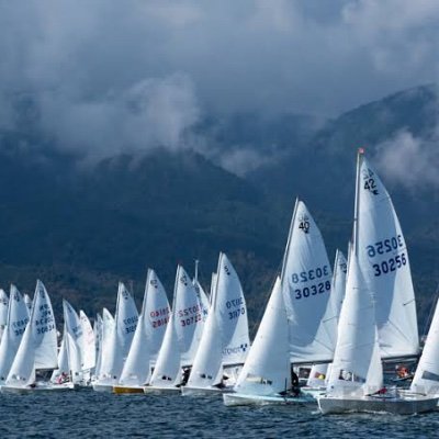 浜医医17 ヨット