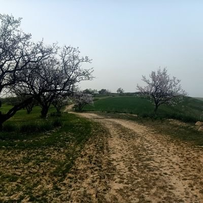 ‏‏‏‏الحمد لله