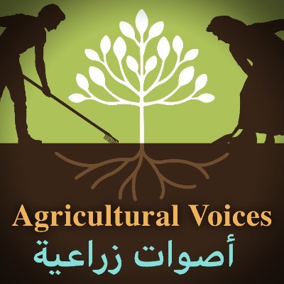 Supporting the creation of a podcast series to improve food security in Syria #FoodSecurity