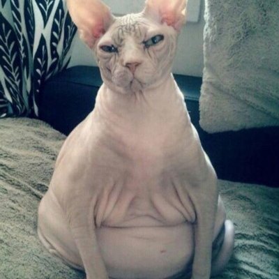 AaronPadrCorrea's profile picture. Jurista. Técnico de Administración General A1