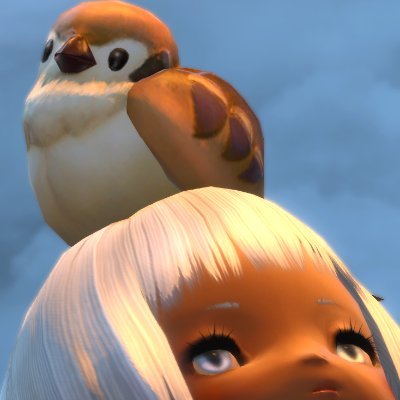 tm_goma's profile picture. チーズナンが好き
