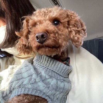 myan______'s profile picture. 22卒