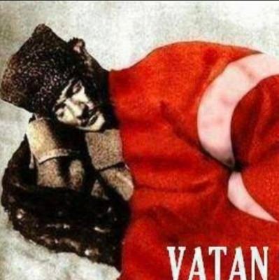sevimeces's profile picture. 