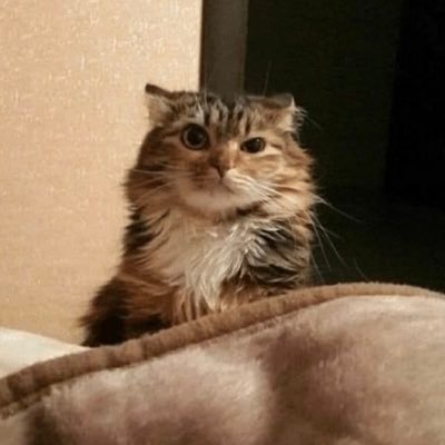 debdeejay33's profile picture. From Essex.