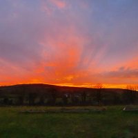 Lisa Cahill (@lisacahill21) 's Twitter Profile