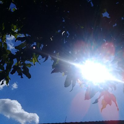 mmisfaul's profile picture. 