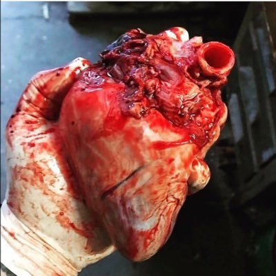 DavidKadisha's profile picture. Mr limited edition