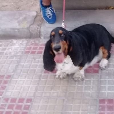 hola vivo en San Fernando del Valle de Catamarca, empleado publico, apasionado por la musica; me encanta juntarme con amigos/as compartir 1 mate 1 cafe 1 comida