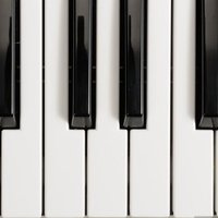 STPiano88 (@stpiano88) 's Twitter Profile