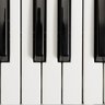 STPiano88's profile picture. Music and emerging technologies.