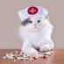 психокоты (@psycho__cats) Twitter profile photo психокоты (@psycho__cats) Twitter profile photo