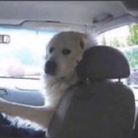 . (@benjispuds) 's Twitter Profile