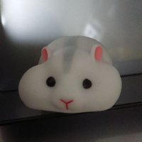 志歩 (@shiho_emeto) 's Twitter Profile