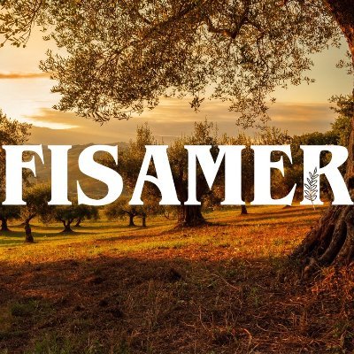 FFisamer Profile Picture