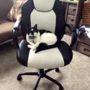 Gavin Chase - @GavinChase18 - Twitter