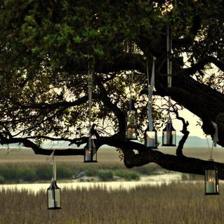 ElizabethUGA03's profile picture. 