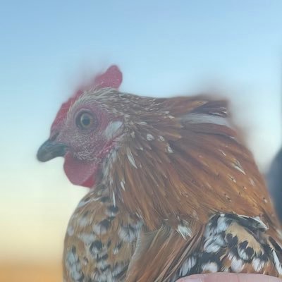 DW13OK's profile picture. i say fuck a lot. following and RT does not equal endorsment. views expressed are my own and not endorsed by any other agency, person or entity.