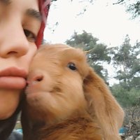 gezen oğlak (@gezzenoglak) 's Twitter Profile Photo gezen oğlak (@gezzenoglak) 's Twitter Profile Photo