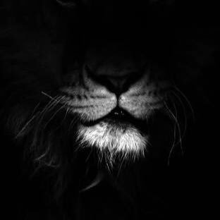 MoisessMunozz's profile picture. la realidad es lo que es y la vida lo que importa de ella.