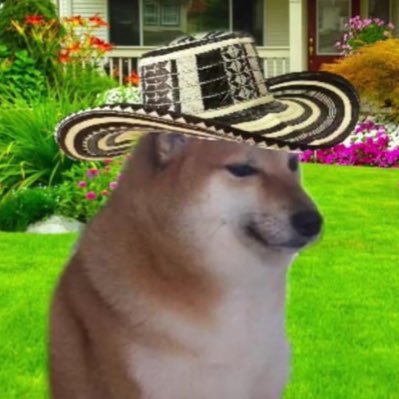 APCORD1's profile picture. 