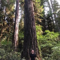 John C. Nappo (@johncnappo) 's Twitter Profile