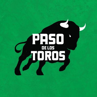 Paso de los Toros Uy