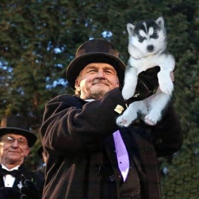 Kemosahbeh's profile picture. Ima cackle.