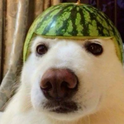 123_ohayo's profile picture. Good morning