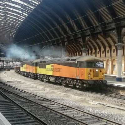 York station cat,loves railways,timetables(I am a geek!)+class 56's esp.Loadhaul ones!